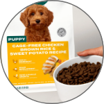Puppy Food
